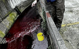 東門溪遭廢水染紅 新北桃園火速跨區破獲染整廠止血