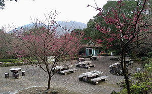 228連假輕旅行！4大國家公園百花齊放  賞花觀鳥快筆記