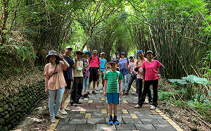 新北市府推薦草里漁港驛棧  觀海兼訪山中茶園 
