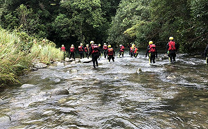 新北精進水域管理 維護民眾安全