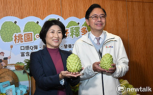 議長姪子才宣布參選就被爆曾酒駕 張善政：會支持國民黨提名的好人選