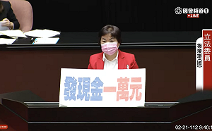 疫後特別條例拚三讀》楊瓊瓔發言嘆物價高漲  高歌「掌聲響起」改編版 