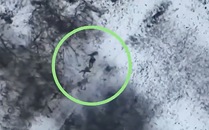 (影) 俄烏戰場直擊！ 俄軍躲樹林遭狙殺 俄村莊出現大量遺棄裝甲車