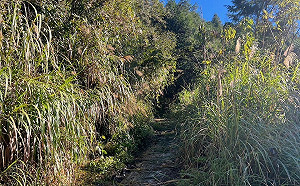 宜蘭加羅湖必經路段！四季林道3/2施工封閉1個月