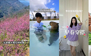 賞櫻不用飛日本！短影音平台推早春出遊全攻略