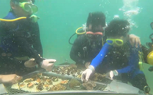 新北連三斬獲全國海洋教育推手獎