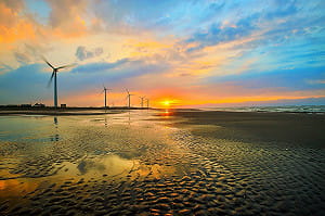 春天輕旅行 探訪桃園許厝港候鳥濕樂園