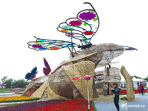 賞地景繁花+潮歌熱舞 農博草花藝術嗨到嫑嫑的