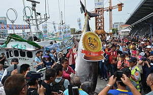 東港「第一鮪」157萬成交  為屏東黑鮪魚季掀起第一波高潮