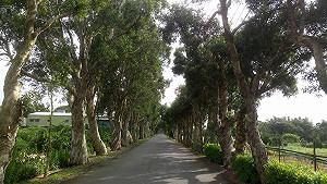 94瘋藝術秘境找地景 好手來駐村