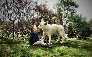 汪星人總愛舔你的臉和嘴！別推開，牠只是因為太愛你