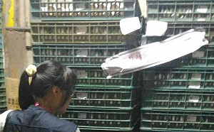 疑戴奧辛雞蛋 新北封存756公斤