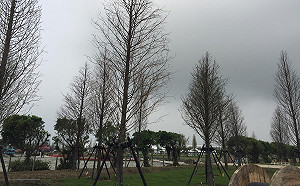 老天爺又變臉！氣象專家提醒民眾慎防午後陣雨