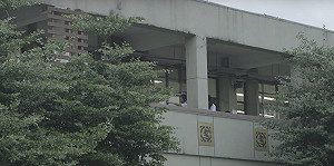 周美里觀點》 十二年國教惡果浮現  公校沉淪