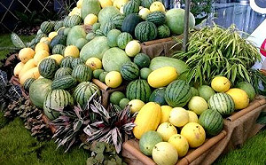 瓜果除了吃還能變成藝術品！果雕競賽看大廚展身手