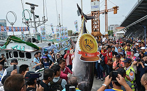 有錢也吃不到！黑鮪魚季特色辦桌門票一日秒殺超搶手
