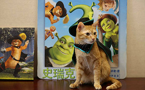 蜜柑、鞋貓劍客雙萌推薦！《史瑞克2》草地音樂會世界首演3/4-5高美館登場