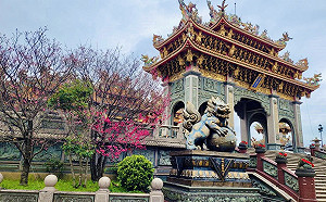 新北林口竹林山寺、三峽行修宮賞花祈福玩公園
