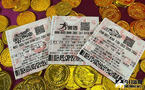 威力彩飆10億元！4生肖中獎機率高