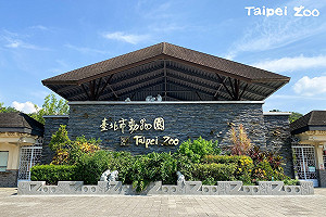 凍漲27年要漲價了！台北動物園4/1起非市民全票漲至100元