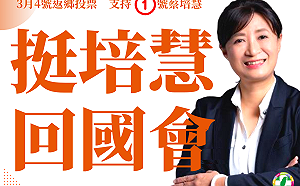 地方大選挫敗後 蔡賴首度同台、選前之夜替蔡培慧助選 