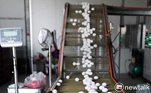 600萬顆蛋去哪了？黃國昌質疑進口蛋5大謊言  農業部嚴正駁斥