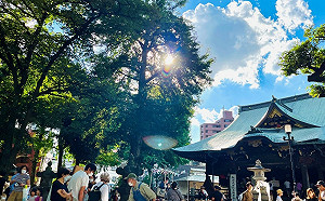 日本文青之旅！3大東京必訪特色市集看這裡