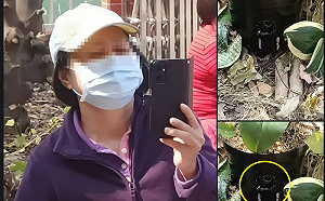 投票所外有攝影機？ 國民黨籲檢警毋枉毋縱維護選風