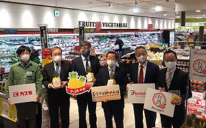 台灣鳳梨進駐東京大獲好評！謝長廷曝「中國杯葛台灣 他們率先支持」 