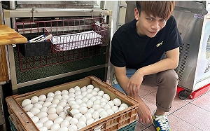 蔡阿嘎曬「整籃雞蛋」高調炫富！網羨慕：果然財富自由