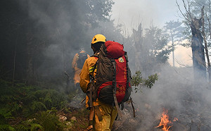 清明節將至！林務局：「林火風險評估系統」上線 提前防範火災