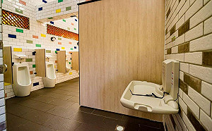 「衛生紙丟馬桶」上路6年！仍有近半數公廁要求丟垃圾桶 環保署說話了