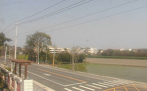 天空灰矇矇！鄭明典曬衛星圖：難得清晰的大陸沙塵暴影像