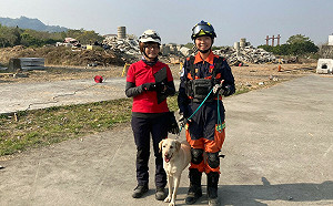 搜救犬國際認證大會考 新北消防4犬高分取得中高級檢定