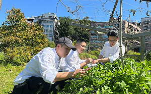 2023新北市多元文化節接地祭 宏國德霖科大推野草沙士飲