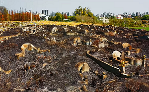 (影)台中 40 天公墓火警破百件! 消防局呼籲民眾謹記 6 原則、掃墓不燒墓