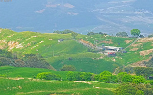 恙蟲病例持續上升！疾管署：兩大地區染病例較多