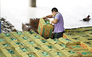 凱米颱風重創蔬菜產地  葉菜類續漲！芽菜菇蕈持平搶手