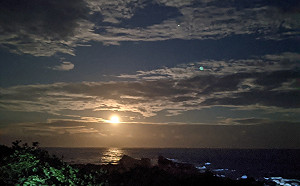 越夜越美！4/1夜訪小野柳  探訪東海岸多元生態