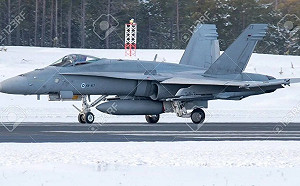 光有米格機還不夠! 再援烏大黃蜂戰機 烏、芬、美將進行三方會談