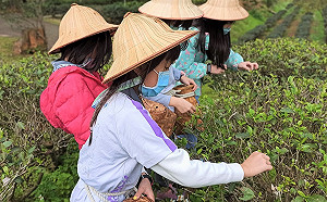 新北環教場所「文山農場」舉辦關燈賞螢 