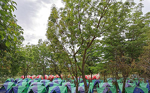 高市國小露營傳廠商不當管教  教育局究責撤換校長