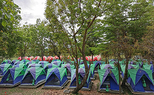 高市國小學生露營罰跪案  行為人違反兒少法裁處罰鍰