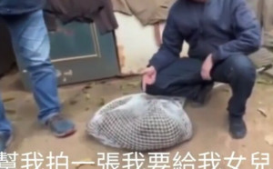 (影)桃市府稱沒和狒狒擺拍 ｢幫我拍1張我要給我女兒｣影片曝光網怒炸