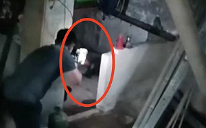 狒狒遭槍殺畫面曝光！鮮血沾滿網子 警方透露調查結果