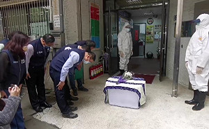 狒狒遭誤殺官員還鞠躬獻花作秀 民進黨：國民黨縣市長施政荒腔走板