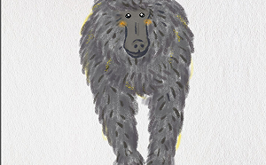 插畫家悼念狒狒  問：牠犯了什麼必須死的罪？