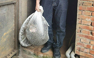 六福村10年養死8隻長頸鹿！動保團體轟：不要再製造動物墳場