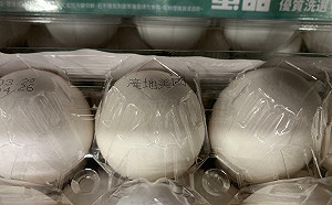 藍營控進口蛋圖利特定通路！農委會怒回：別再炒作
