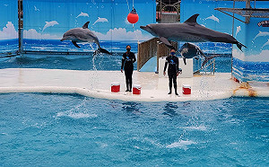 新北活動不間斷 合法旅宿最安心 